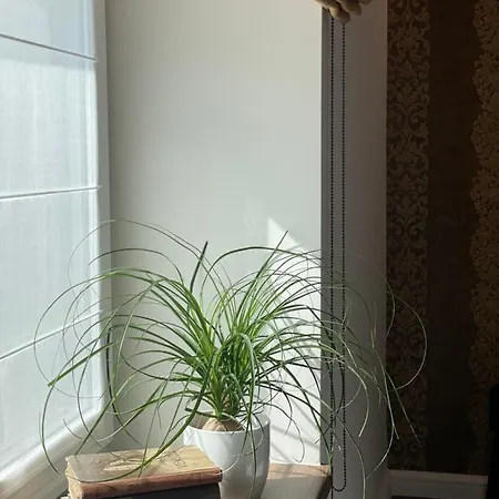 Kestucio 55 Apartament Kowno