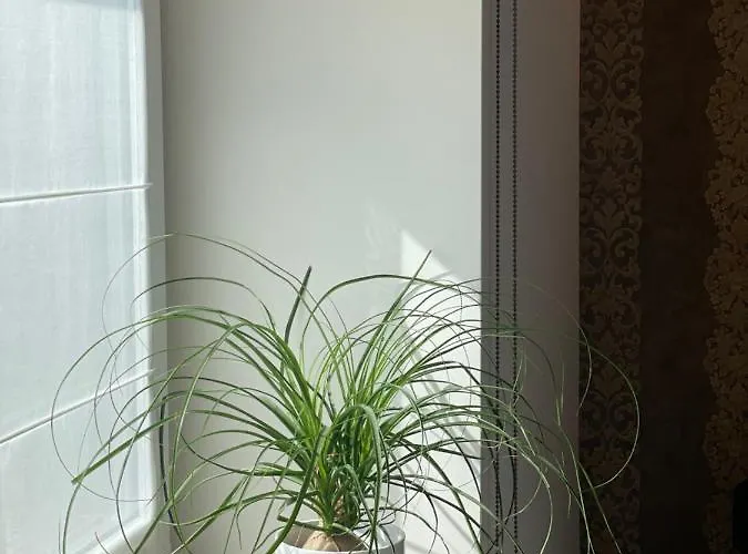 Kestucio 55 Appartement Kaunas